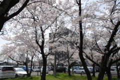 るぴなすビラの近隣（岐阜県庁前）の風景